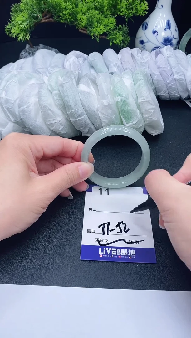 未镶嵌手镯翡翠11