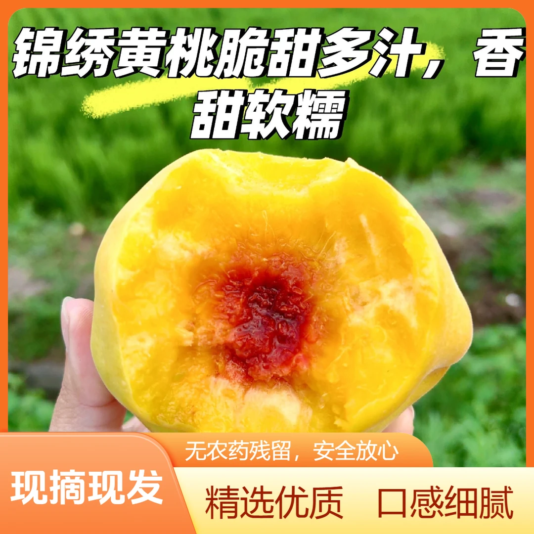 【京东直达】正宗奉贤锦绣黄桃脆软两吃现采现摘脆甜多汁新鲜水果