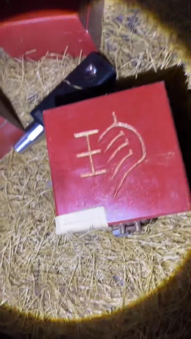 琪琪精品链接66666666