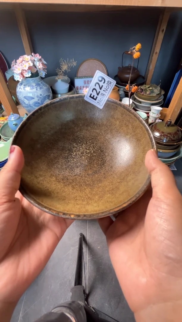 瓷片草*e229志野圆盘福利