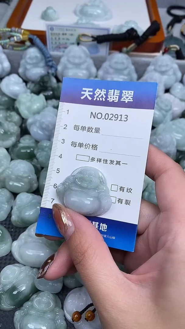 颈饰未镶嵌翡翠纯天然A货翡翠2913