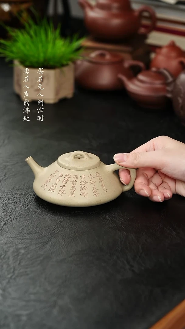 茶壶紫砂福禄芝麻段精品石瓢