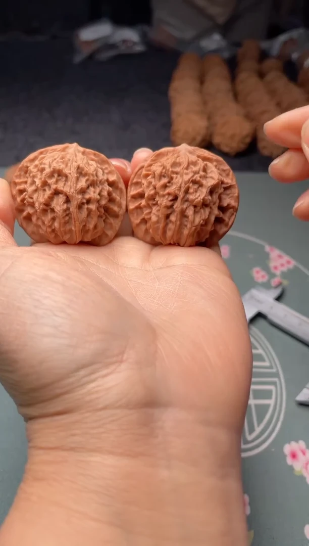 把件文玩核桃w33  盘龙纹 43尺