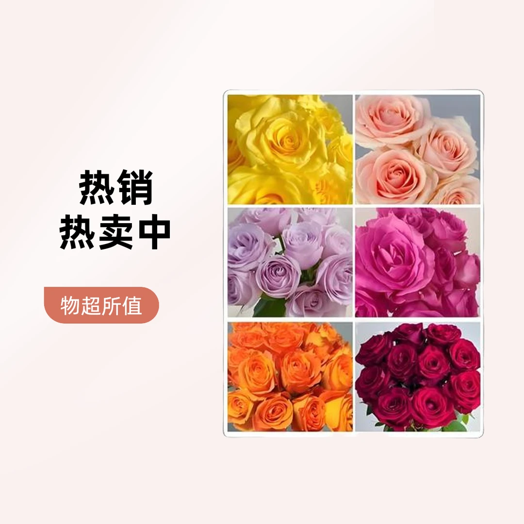 『彩色玫瑰10支装3-4种颜色混色』家居养花鲜花批发直播 全场两单顺丰包邮三单送配草次日达 养护教程联系客服