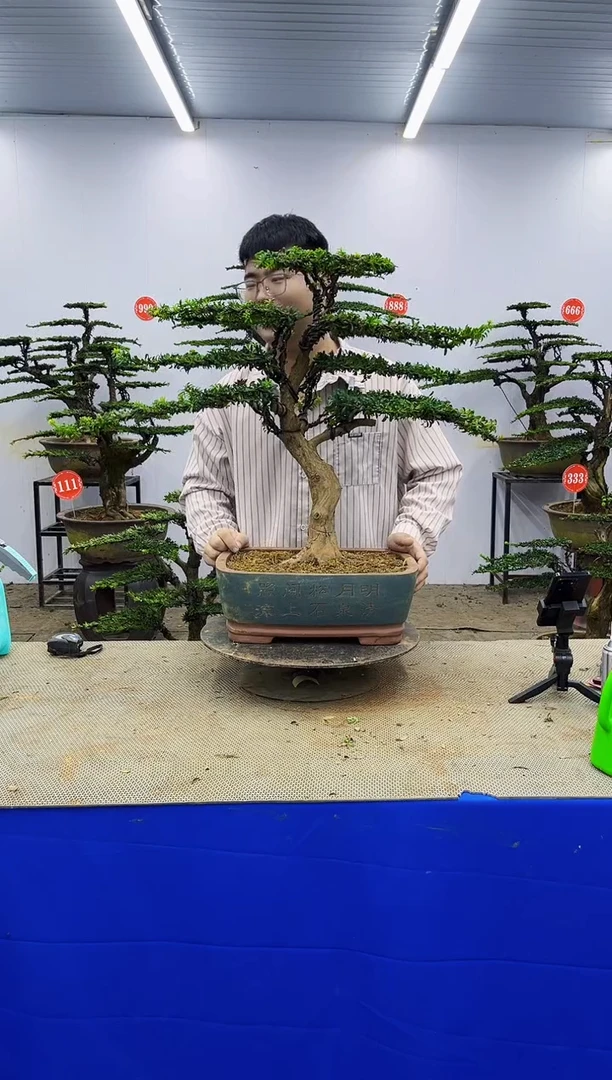 以实际为准一物一拍，所见即所得