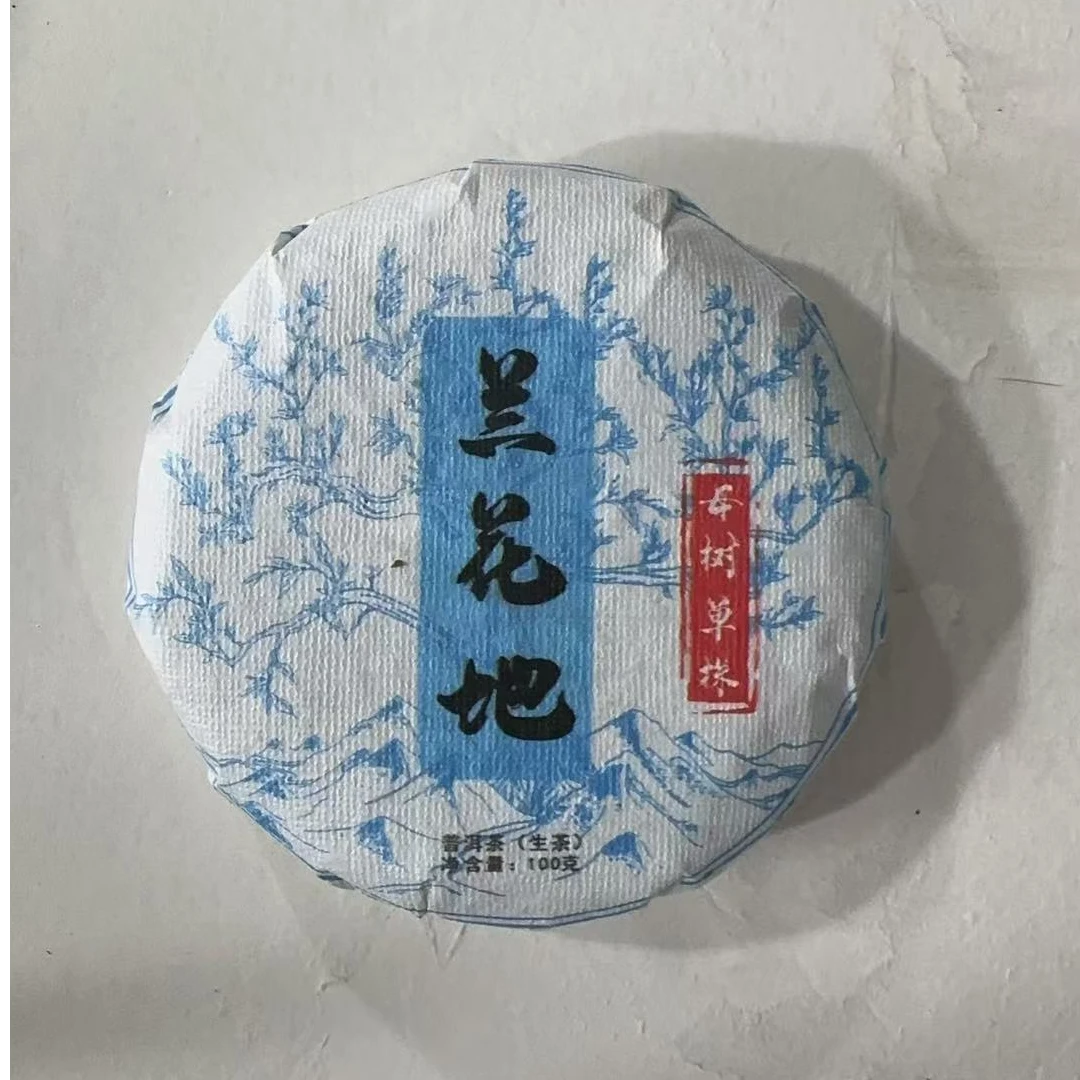 普初雪 2024年兰花地母树单株100g饼