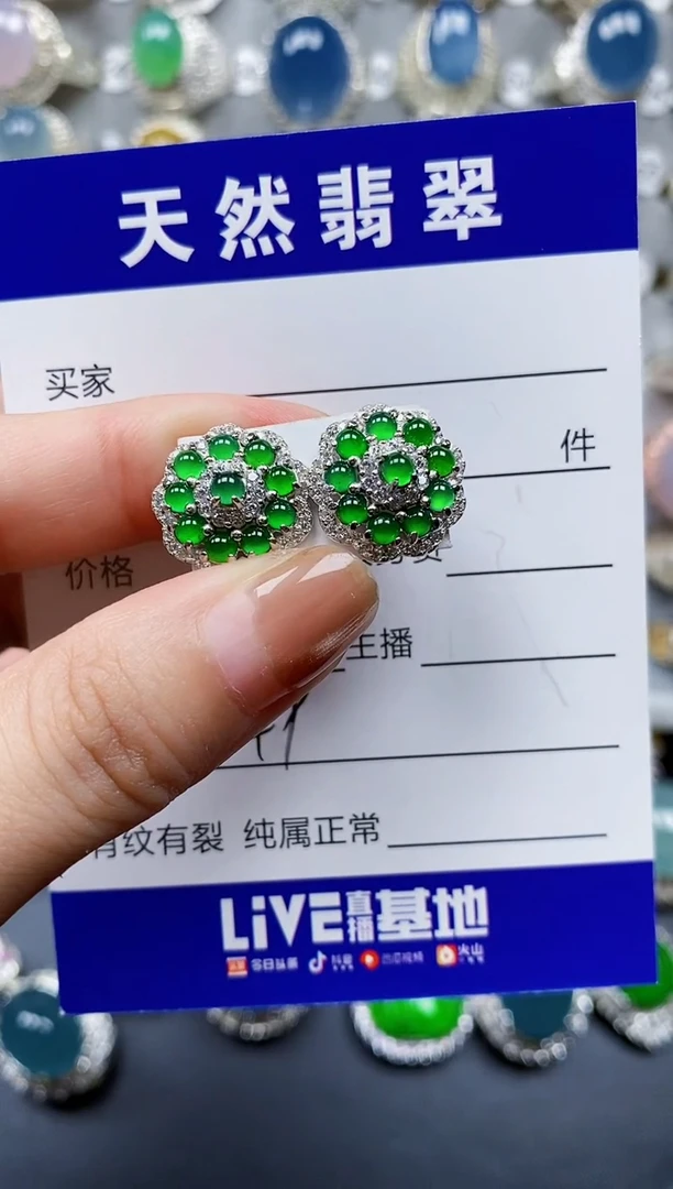 翡翠银S925镶嵌耳饰0149