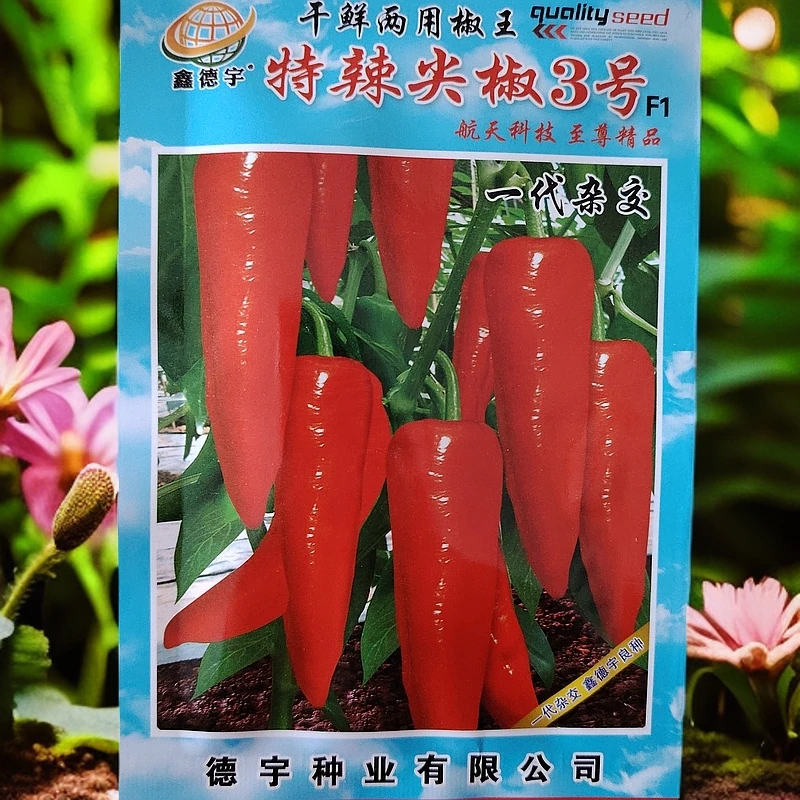 特辣尖椒3号小辣椒籽