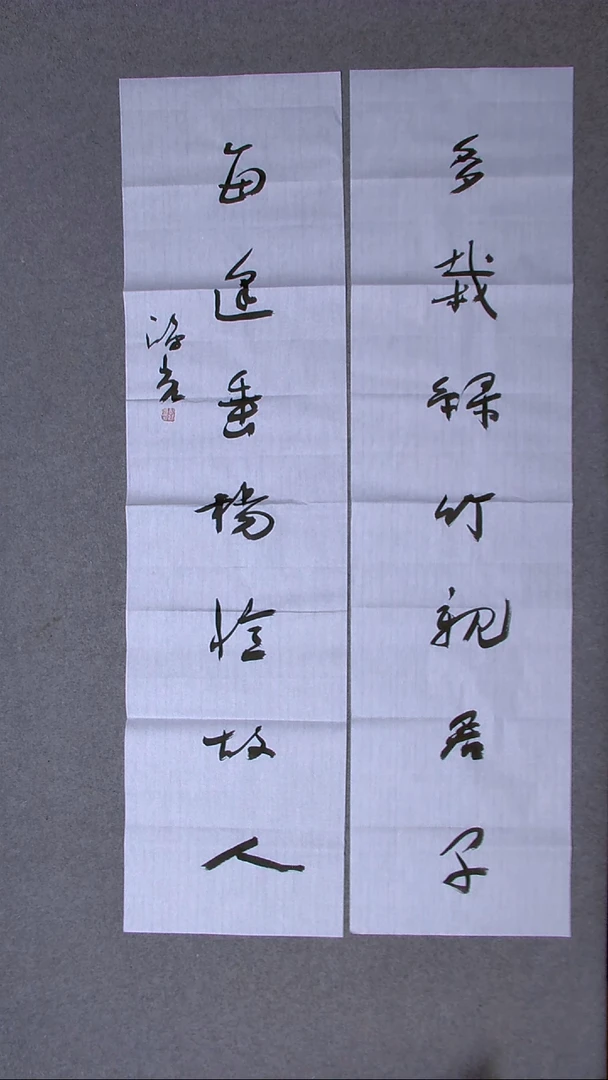 书法郭鸿光银川八平尺138*34*2