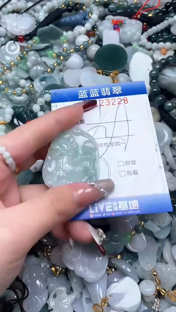 【闪购商品】翡翠颈饰未镶嵌闪购0123228多样性发其一