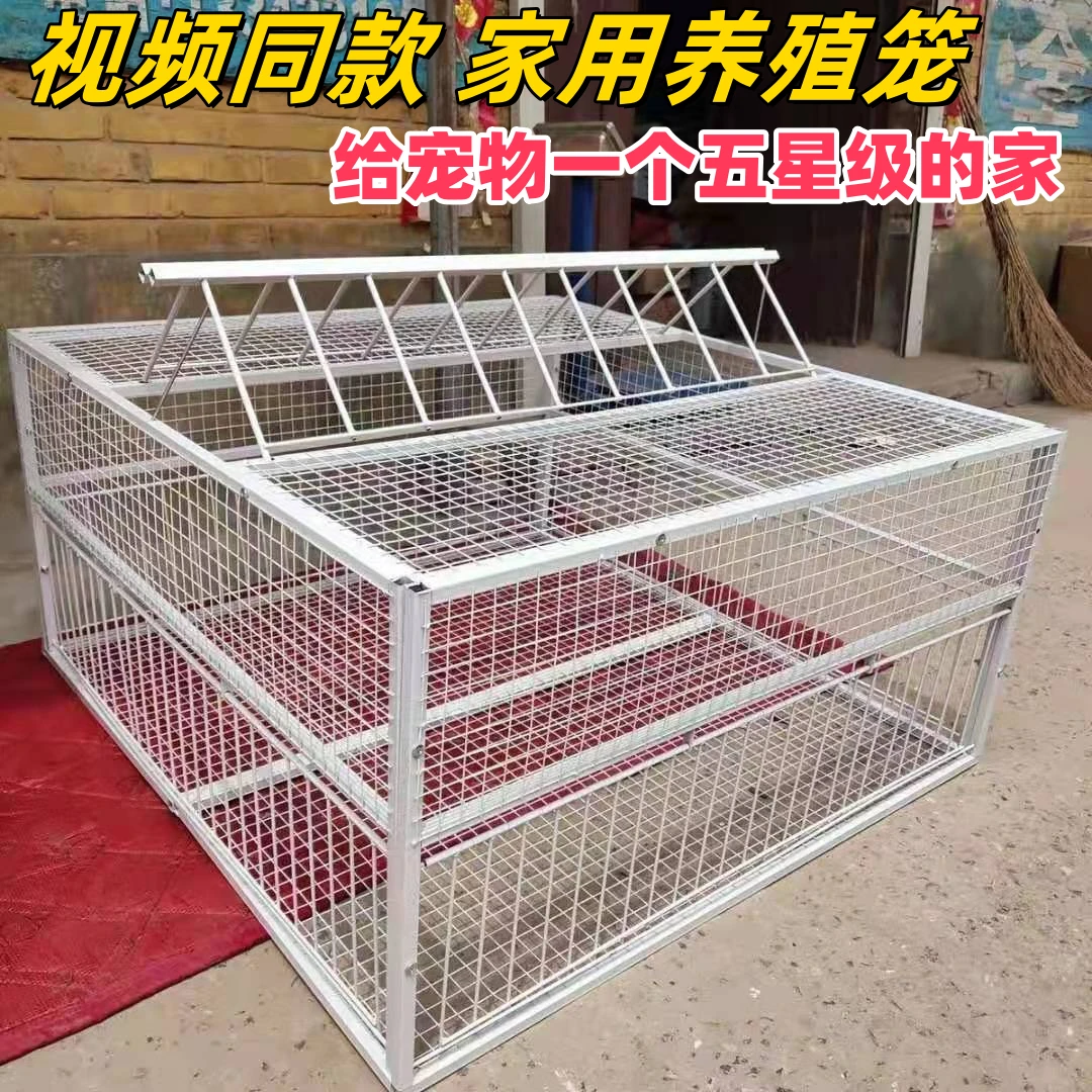 【升级U型加密防锈】喂养鸡鸽子笼鸽笼 家用宠物笼观赏笼养殖落笼
