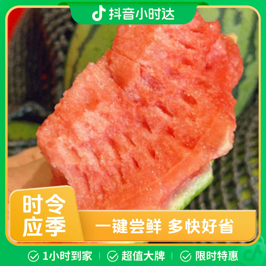 【脆甜带沙】一个吊秧西瓜（约3.5斤）河北省