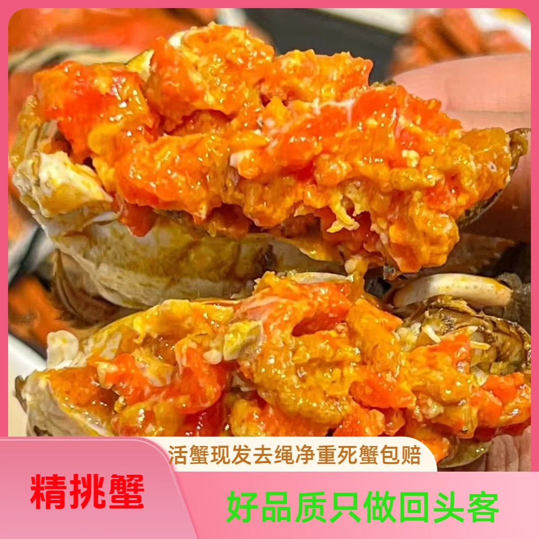 【活蟹】正宗固城湖精品生态大闸蟹全母2.4-2.6两8只顺丰冷链