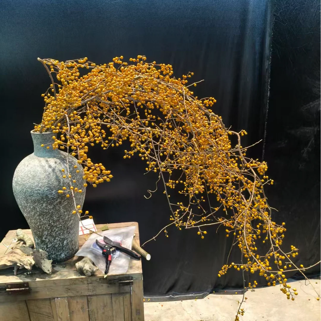 南蛇藤干花精致唯美可做室内装饰家用插花