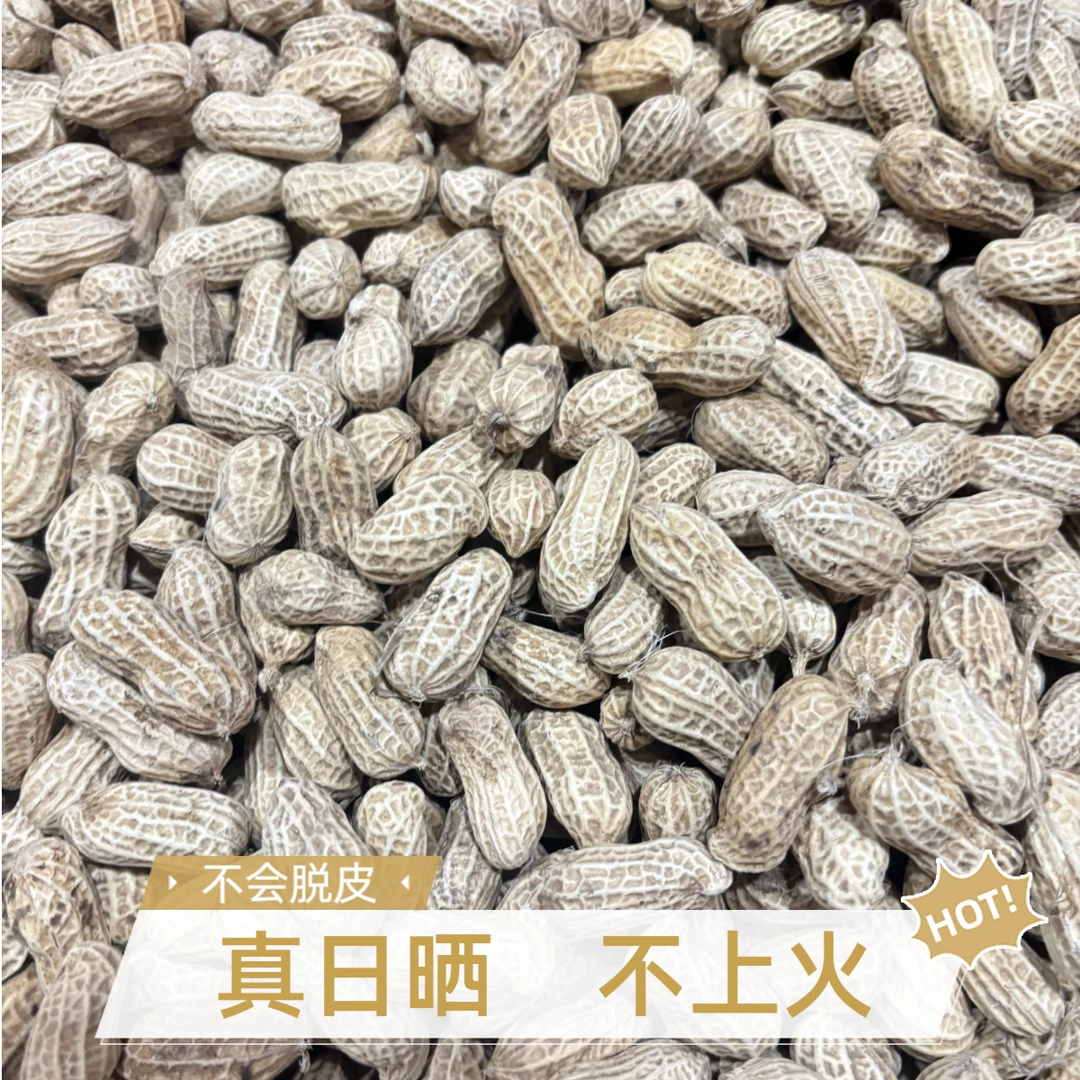 福建莆田花生2025年新本地特产水煮花生日晒熟花生