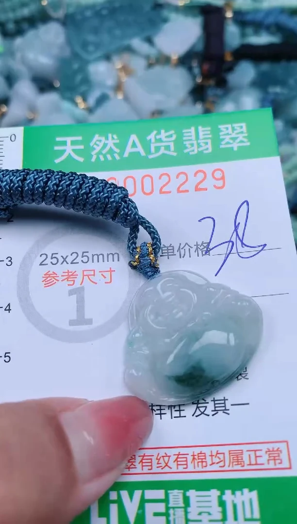 【闪购商品】翡翠颈饰未镶嵌.0002229