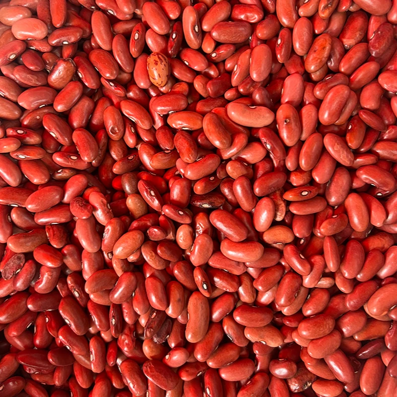 荷兰菜头苤菜根油菜花藠头香茅草（正宗丘北舍得红豆）粉红腰豆红