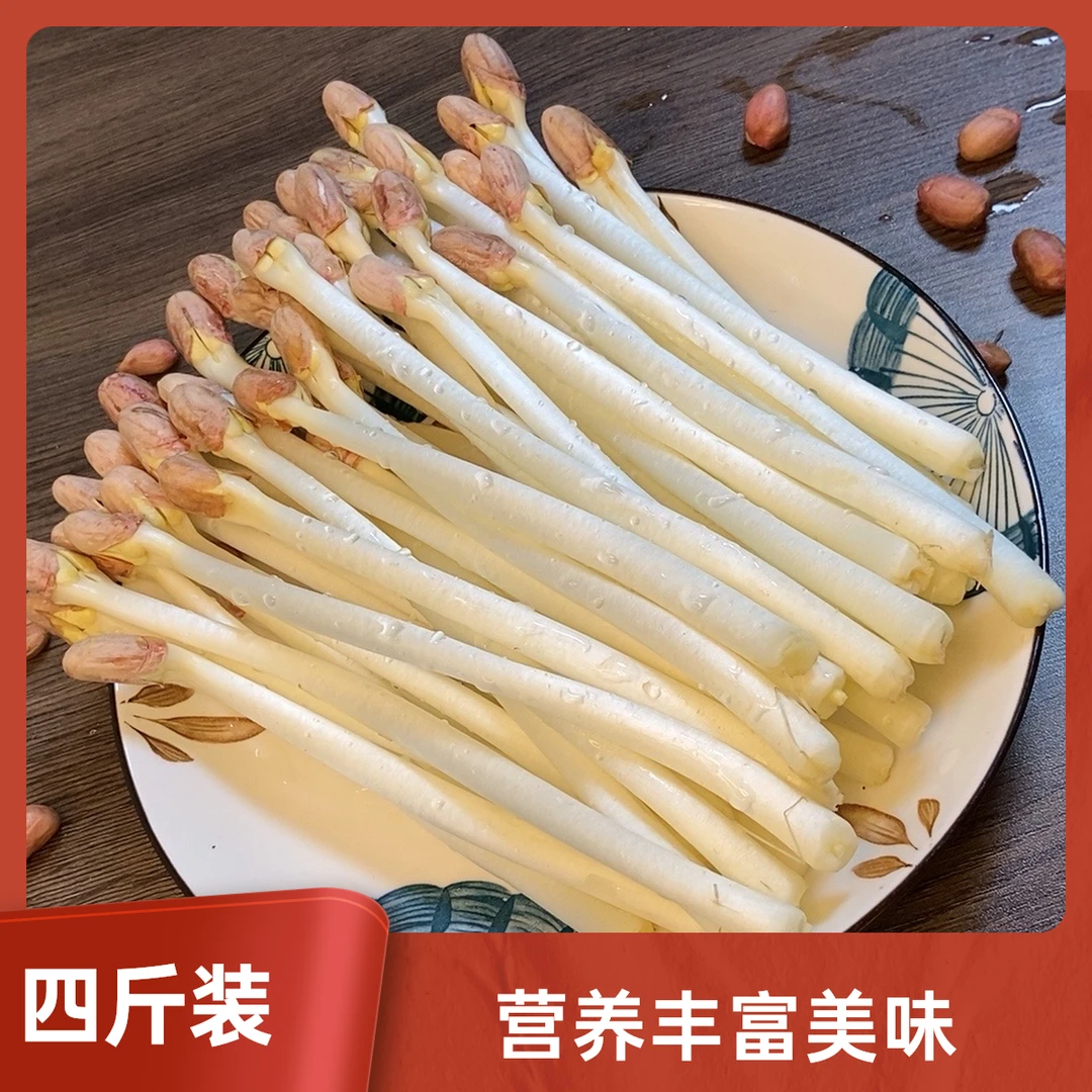 【四斤批发装】新鲜现摘水培花生芽