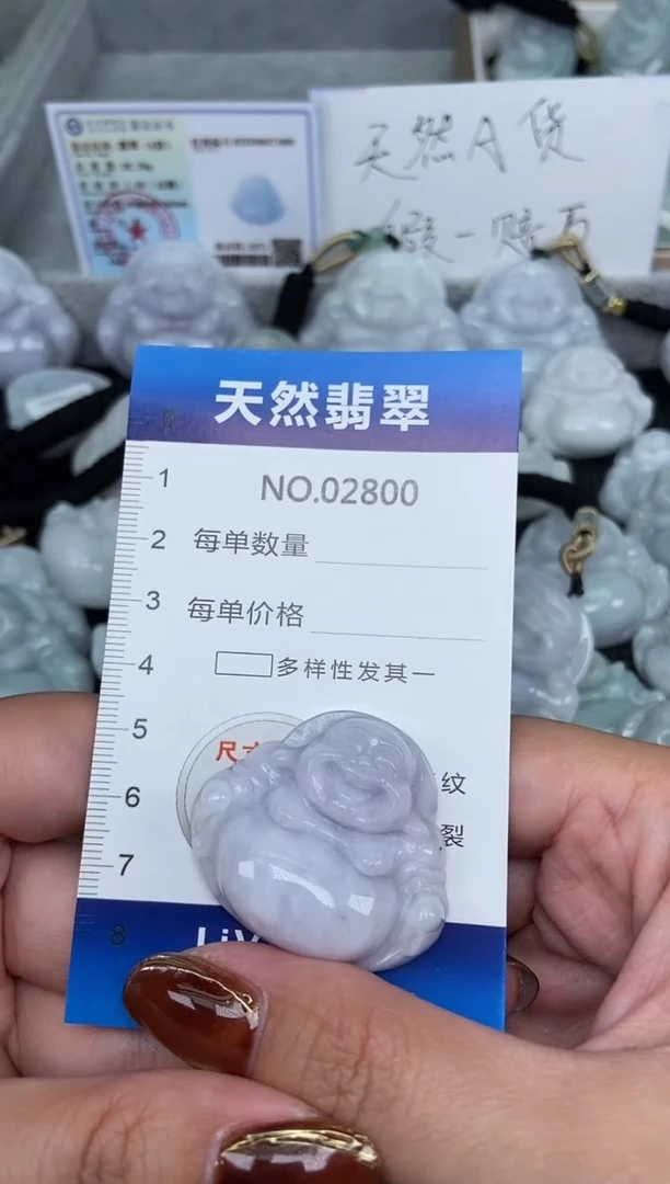 颈饰未镶嵌翡翠纯天然A货翡翠2800