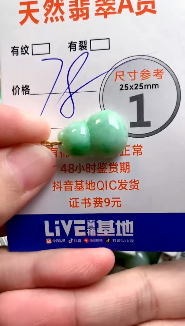 颈饰未镶嵌翡翠25100168