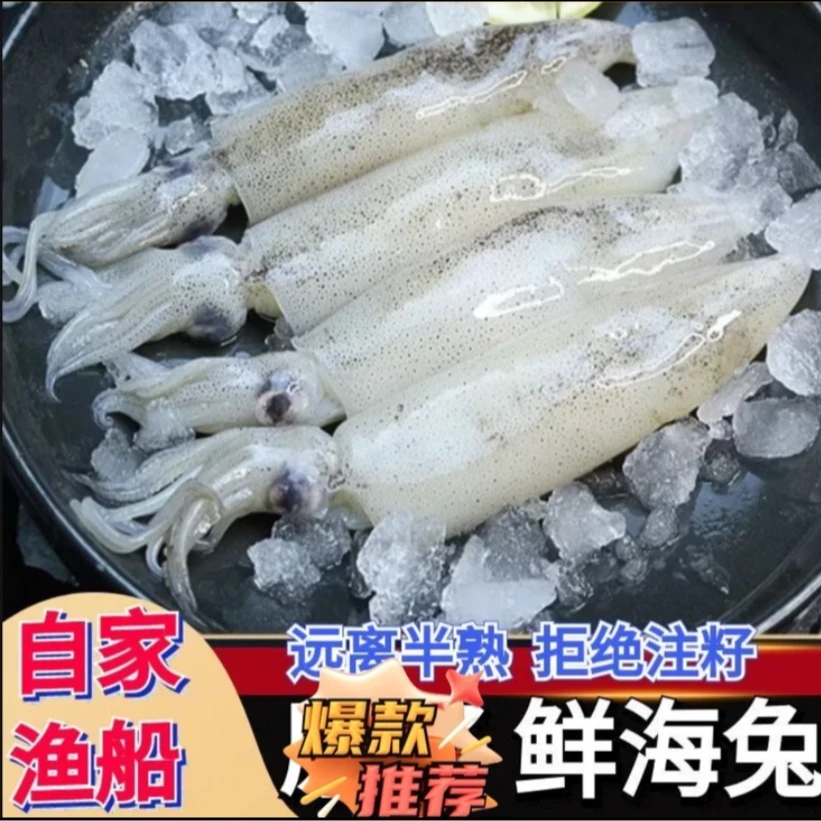 连云港海捕笔管鱼公海兔4斤鲜活速冻冷链发货