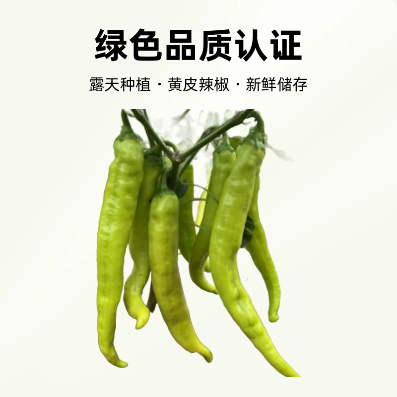 露天种植黄皮辣椒v