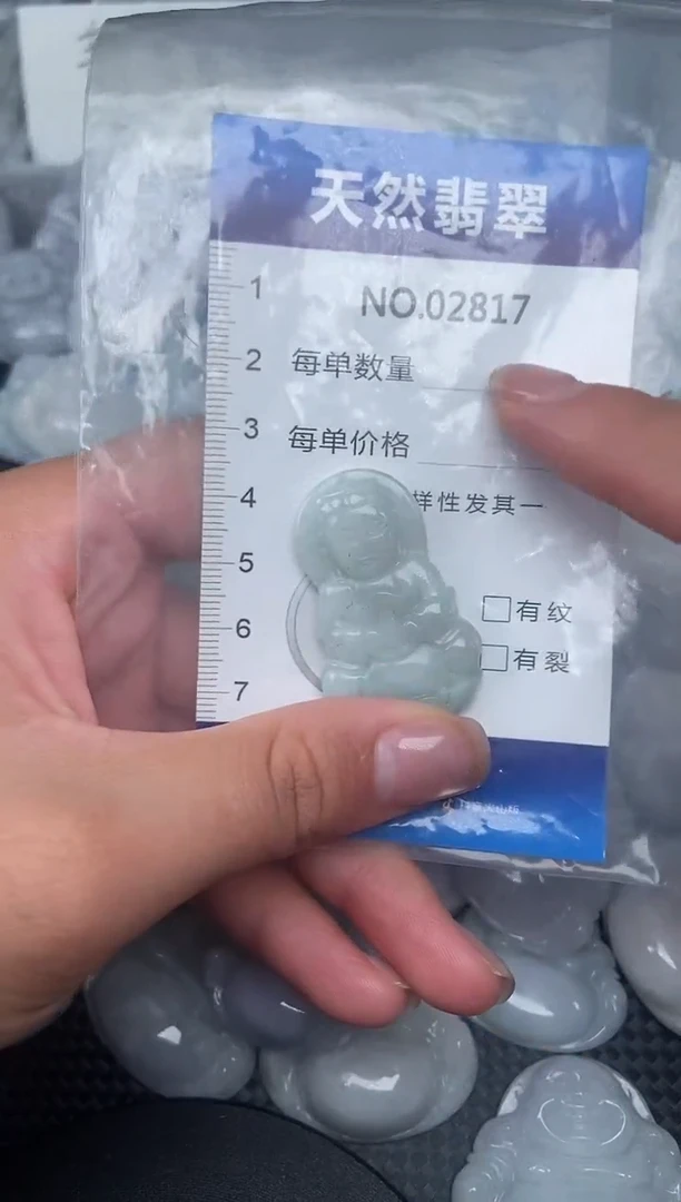 颈饰未镶嵌翡翠纯天然A货翡翠2817