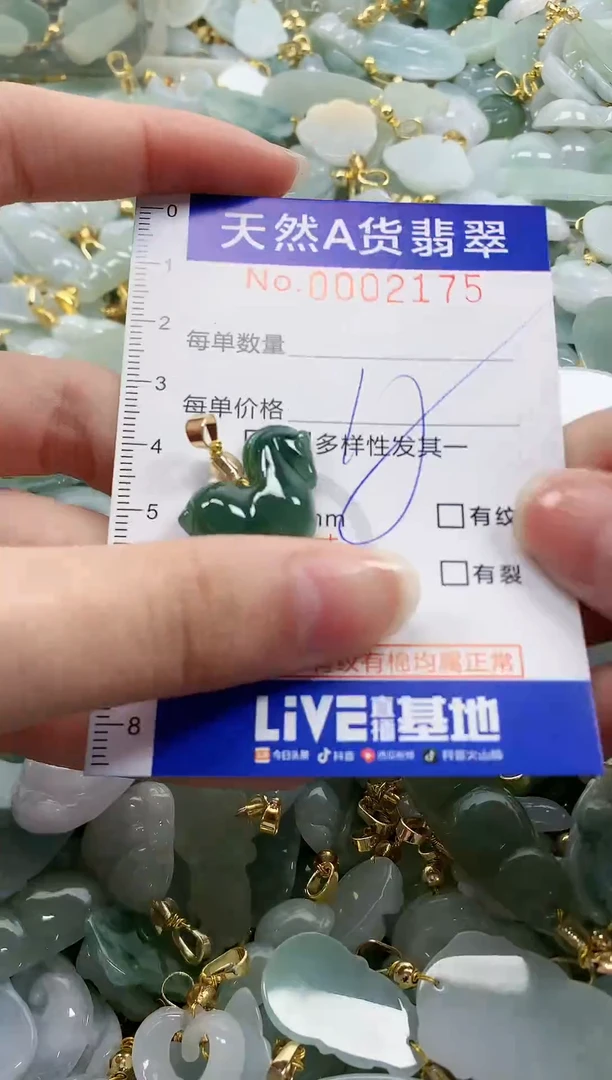 颈饰未镶嵌翡翠纯天然a货翡翠