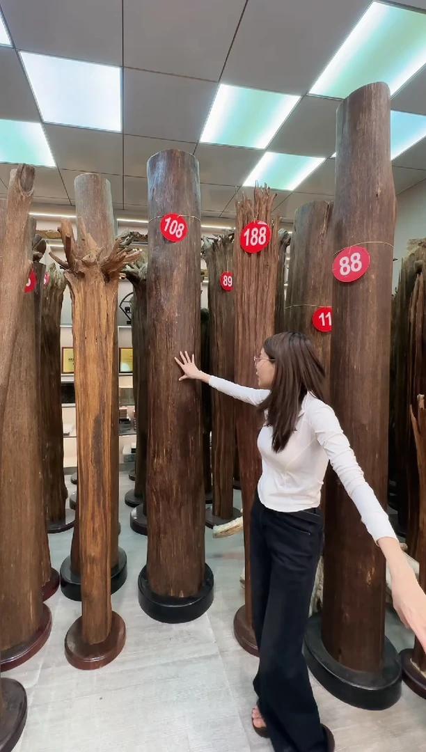 沉香摆件涤***3沉香原料 七天无理由