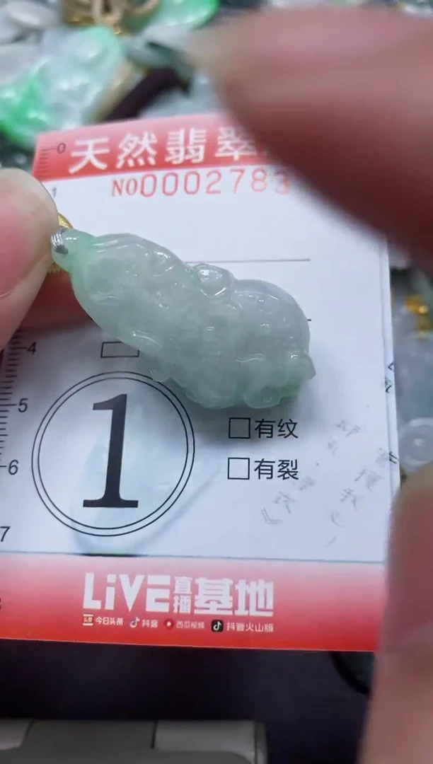 翡翠未镶嵌颈饰闪购0002783