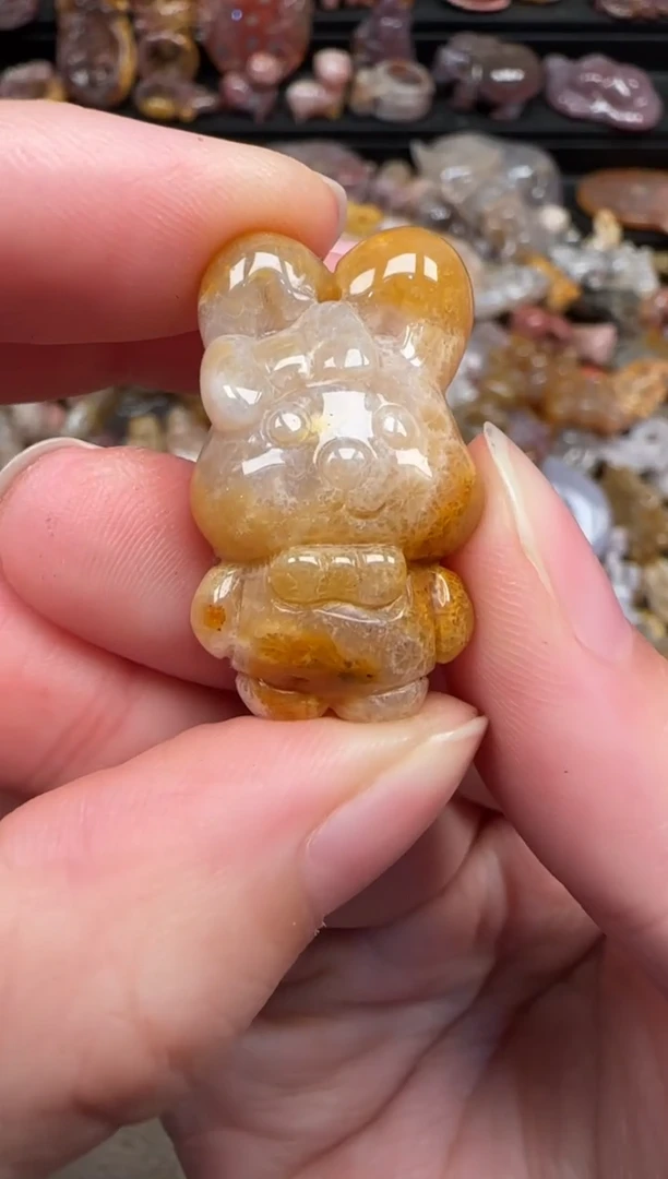 颈饰未镶嵌硅化珊瑚（珊瑚玉）338