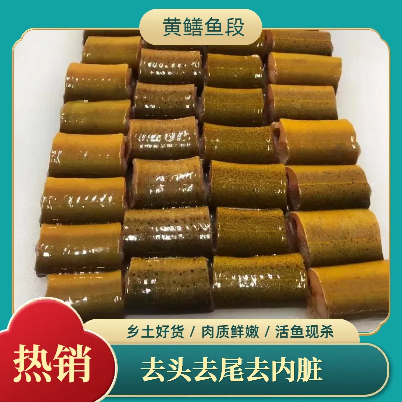 【空运发货】鲜活现杀鳝鱼段去头去尾去内脏切段带血水-40°速冻锁鲜