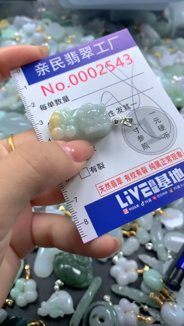颈饰未镶嵌翡翠2543