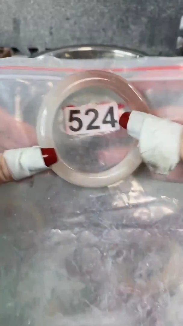 【闪购商品】石英质玉手镯未镶嵌5960+524