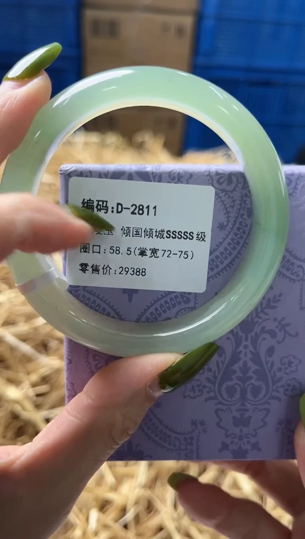 未镶嵌手镯石英质玉D2811
