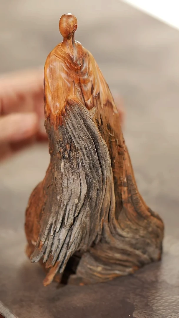 柏木（崖柏）668崖柏陈化黑油料无相摆件