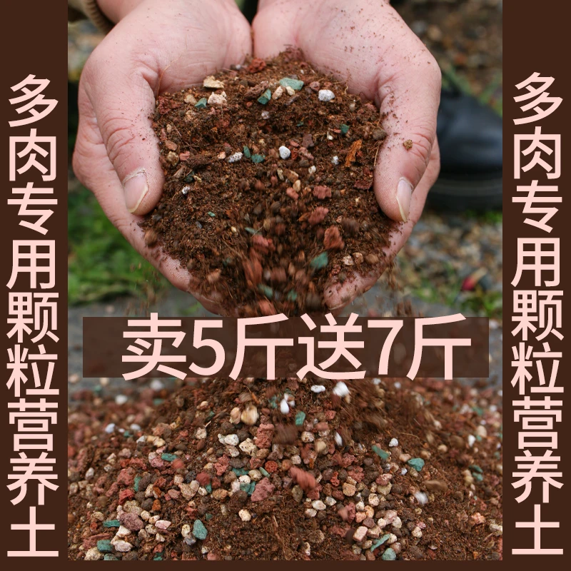 多肉颗粒土专用营养土植物泥炭种植土壤肉肉叶插小苗上色颗粒花土