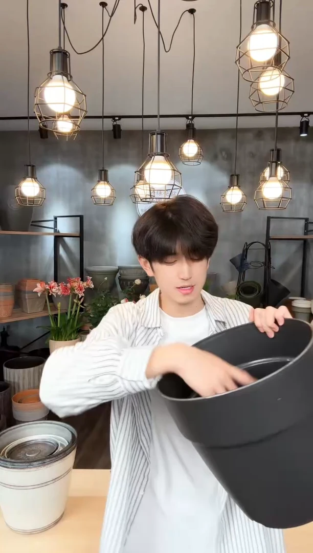 尼奥300圆盆深灰色2只带轮带网