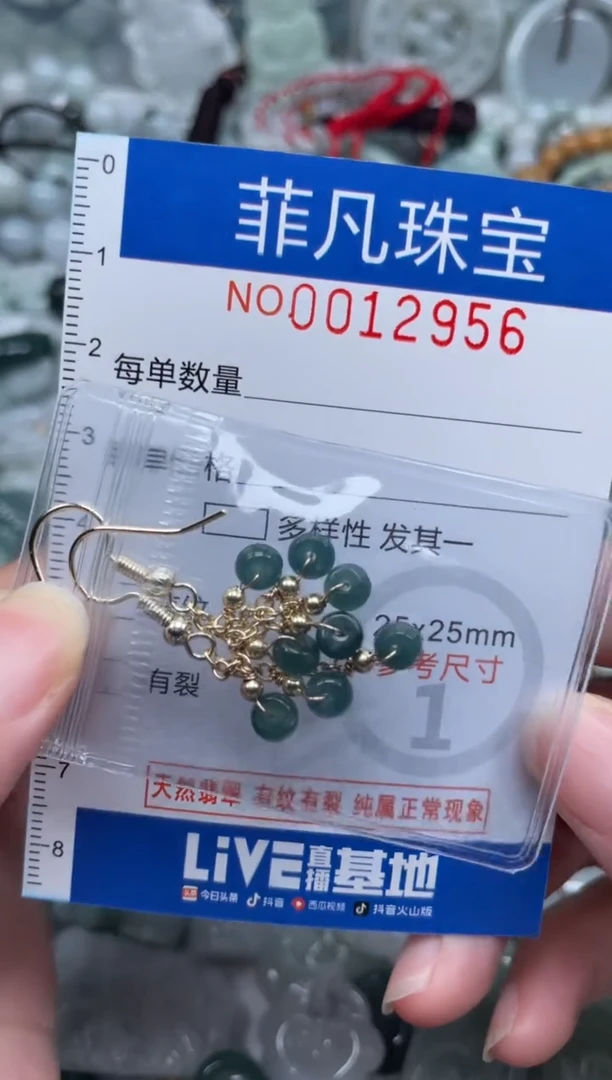 颈饰未镶嵌翡翠12956