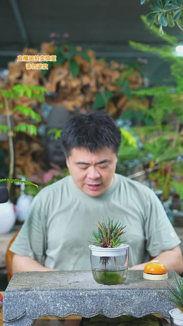 当前无花栽培后可以开花十二卷228T