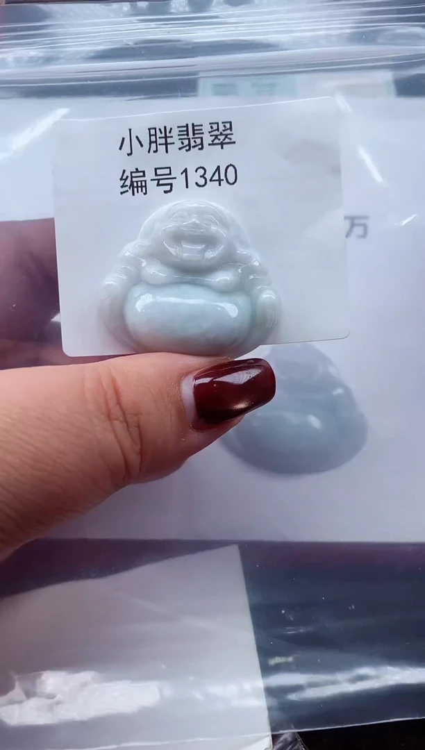 颈饰未镶嵌翡翠缅甸天然A货翡翠1340