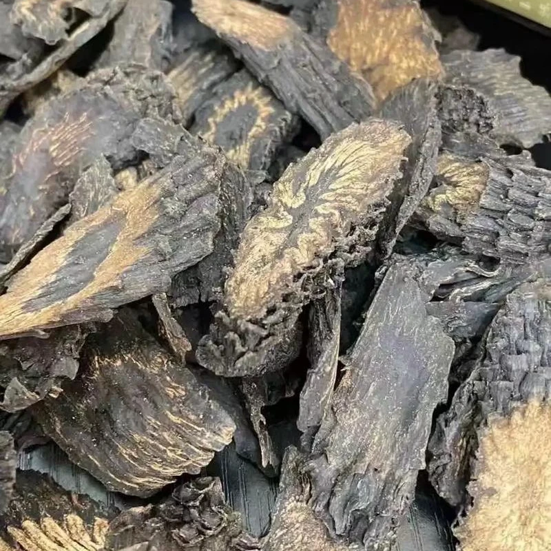 【油性肉枞榕】正宗和田直发沙漠人参肉肉枞榕大芸泡水炖汤泡9切片