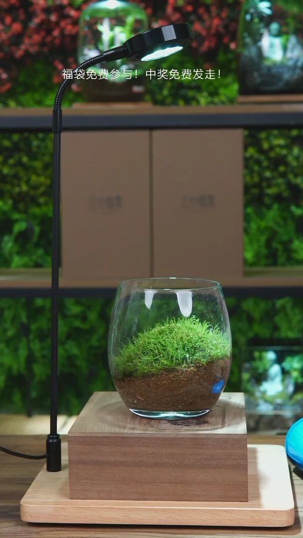 【闪购商品】绿丘小圆缸一物一拍