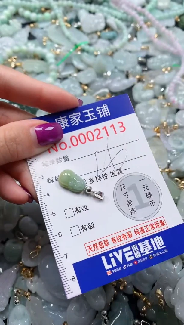 颈饰未镶嵌翡翠2113