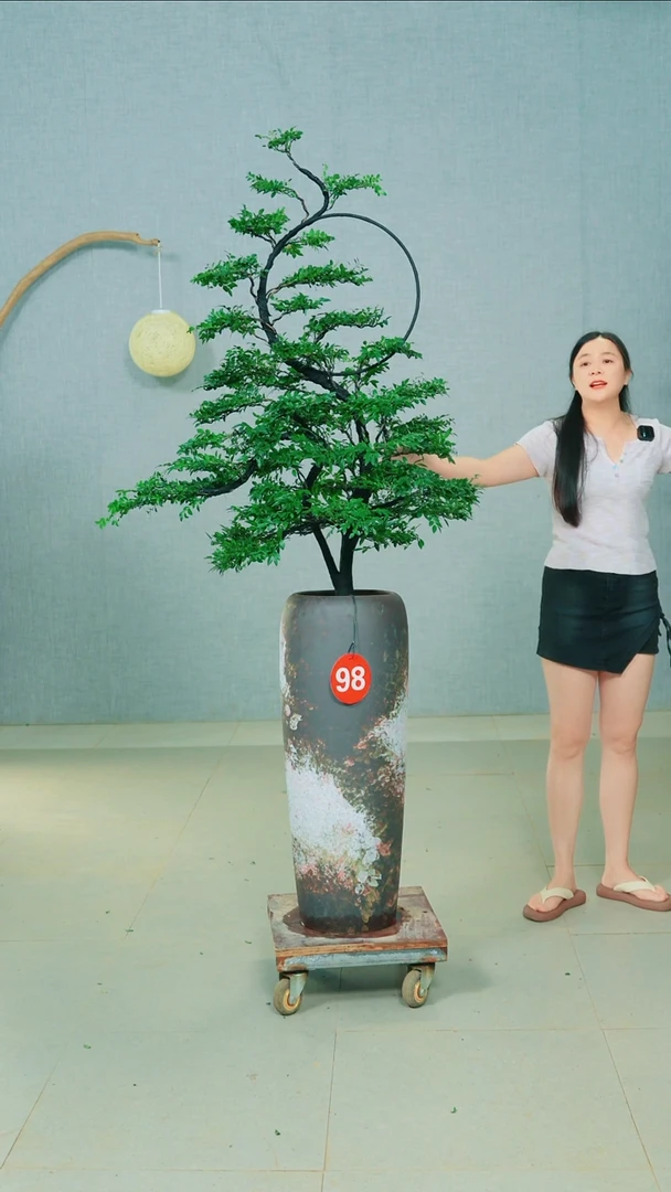 无花朵用****6广东小叶紫檀