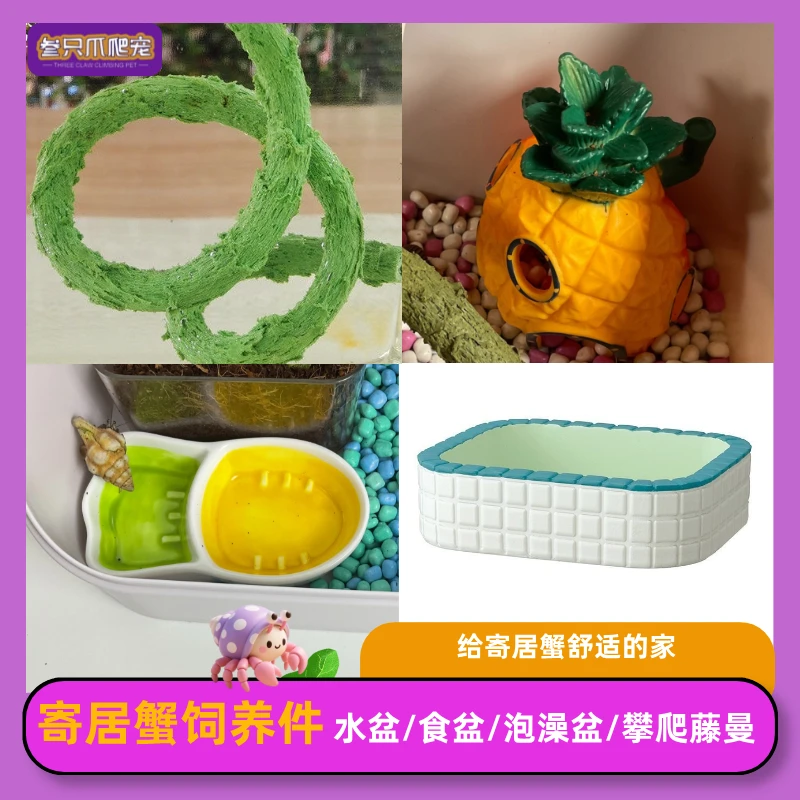叁只爪爬宠寄居蟹沙蟹攀爬藤曼躲避屋水盆食盆泡澡盆防溺水陶瓷盆