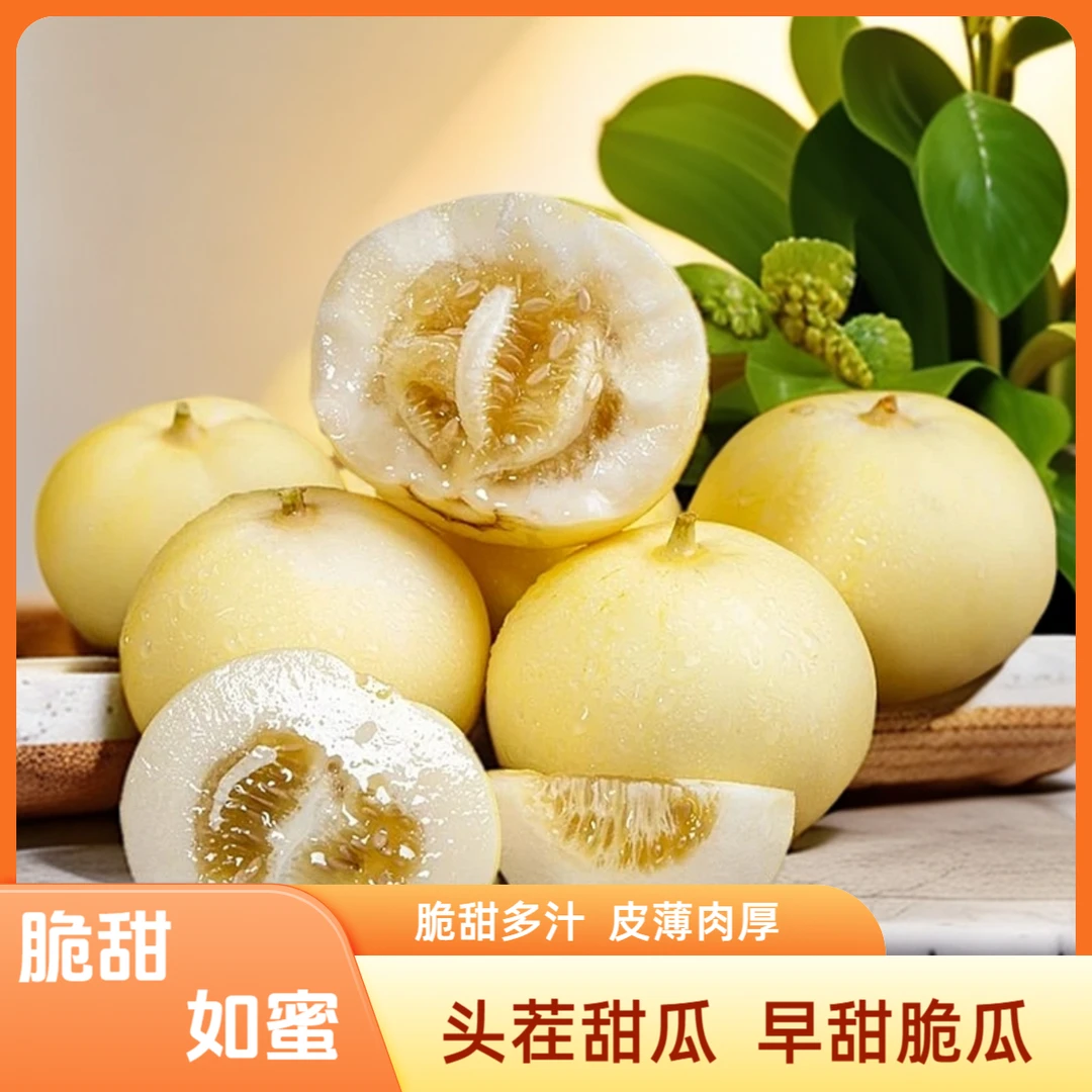 顺丰包邮山东头茬小蜜蜂甜瓜早甜脆香瓜脆甜多汁现摘现发应季水果