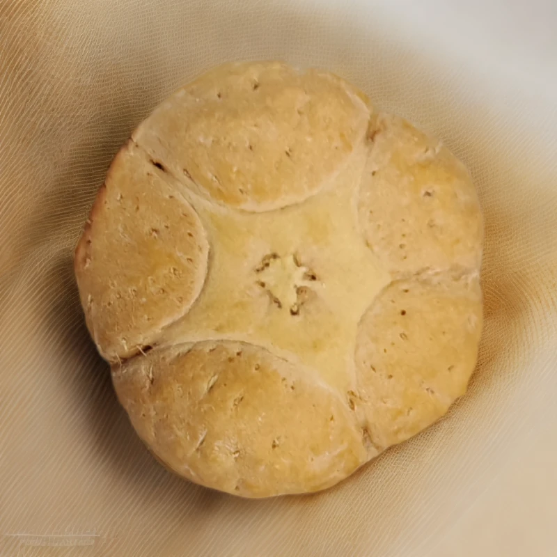 凤眼新籽21+尺寸五星优质商品