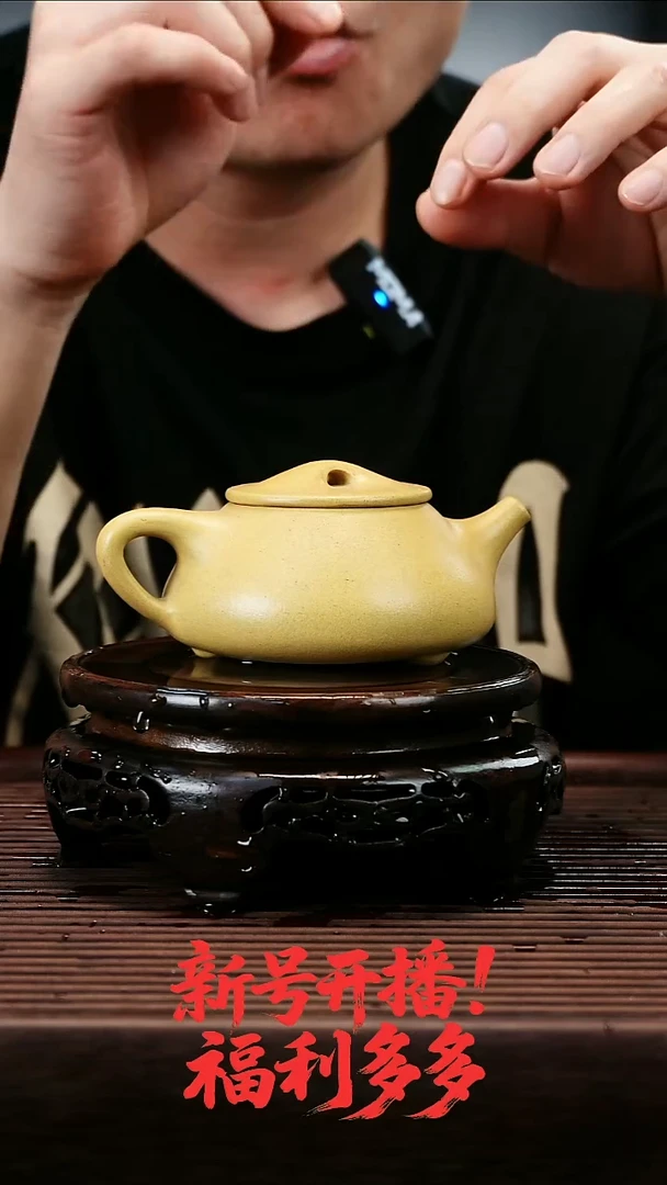 茶壶紫砂5455555