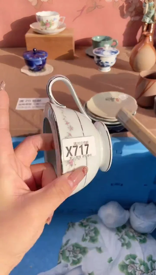 瓷片何*娜瓷器瓷器X717